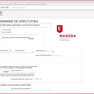 Accompagnement à la saisie des informations du formulaire de demande
